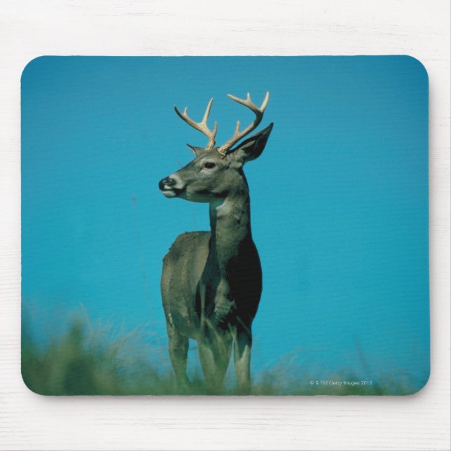 Hirschportrait Mousepad (Vorne)