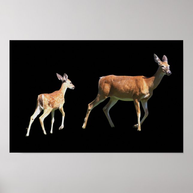 Hirschposter Poster (Vorne)