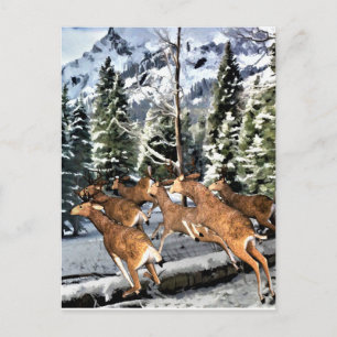 Hirschrudel läuft in Rocky Mountains Postkarte