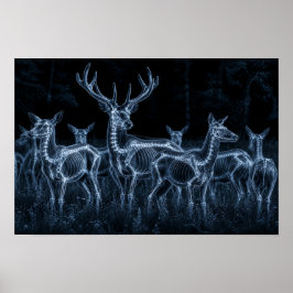 Hirschrudel Nacht Röntgen Poster