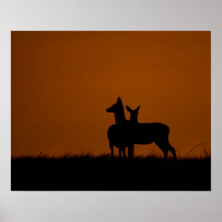 Hirschsilhouetten bei Sonnenuntergang Wildlife-Fot Poster