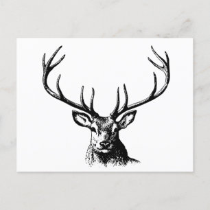 Hirschtierantler Natur Wildtierhörner Kopf Postkarte