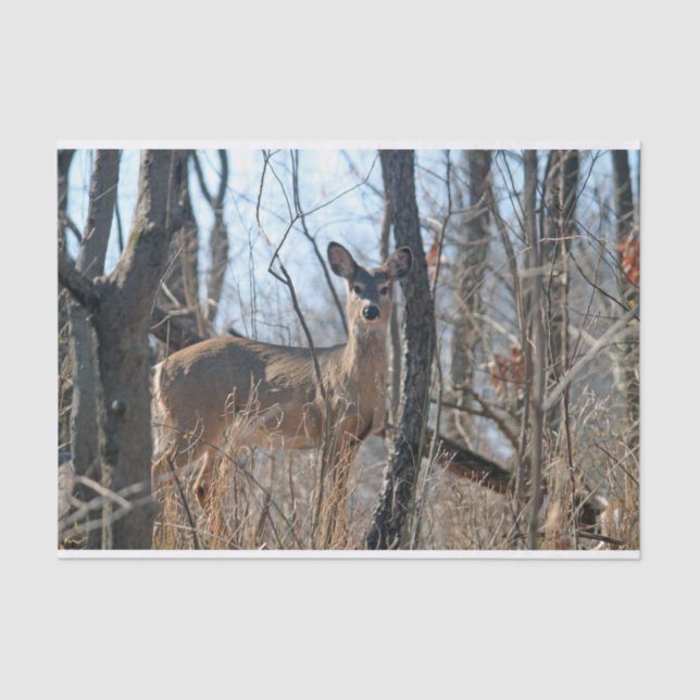 Hirschwoods Herbst Seidenpapier (Vorderseite)