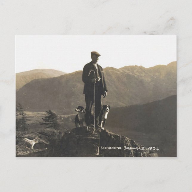 Hirte Borrowdale 1904 Postkarte (Vorderseite)