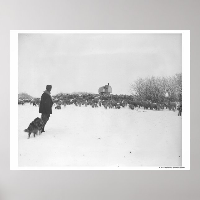 Hirte und Hund im Schaflager Poster (Vorne)