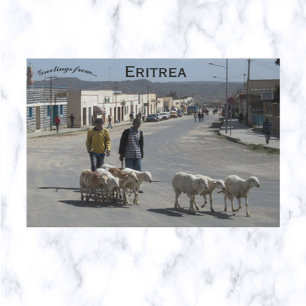 Hirten und ihre Fahne in Dekemhare Eritrea Postkarte