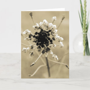 Hirtenfresse in Sepia Karte