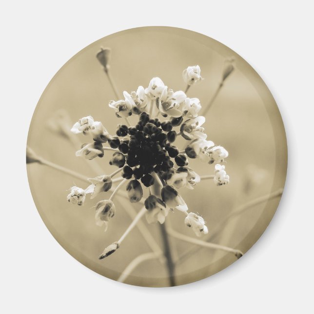 Hirtenfresse in Sepia Magnet (Vorne)