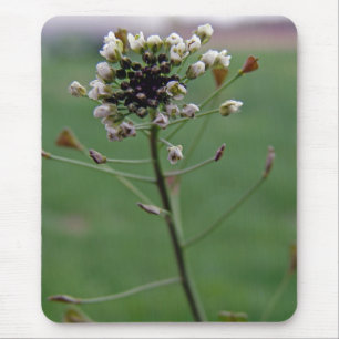 Hirtenfresse Mousepad