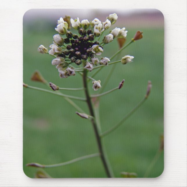 Hirtenfresse Mousepad (Vorne)