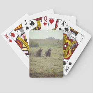 Hisptzeit Spielkarten