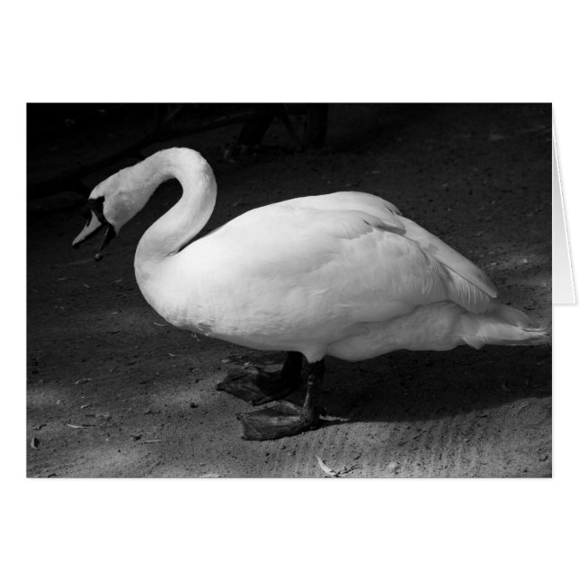 HiSS (Vorderseite (Horizontal))