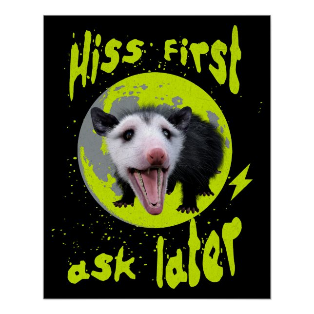 Hiss first, ask later Funny Opossum Hissing Poster (Vorderseite)