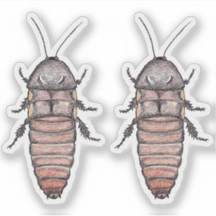 Hissing Cockroach Vinyl Stickers Aufkleber