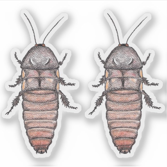 Hissing Cockroach Vinyl Stickers Aufkleber (Vorderseite)