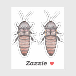 Hissing Cockroach Vinyl Stickers Aufkleber