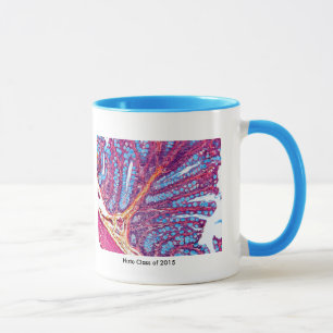histo Klassen-Tasse Tasse