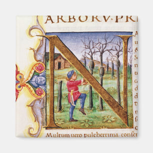 Historiated Initiale 'N Magnet