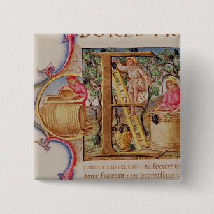 Historiated zeichnen "E ab", das Traubensammeln Button