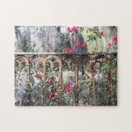 Historic Iron Gate Savannah Puzzle