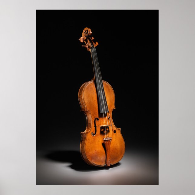 Historisch-Italienisches Cello-Foto (1560) Poster (Vorne)