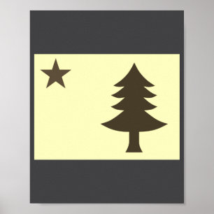 Historische Flagge von Maine 1901-1909 Poster