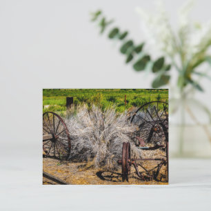Historische Ranchräder Glänzend Postkarte
