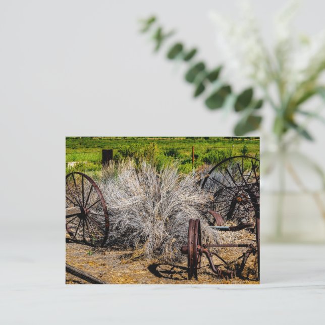 Historische Ranchräder Glänzend Postkarte (Stehend Vorderseite)