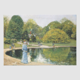 Historische Sicht auf den Central Park (New York) Seidenpapier