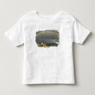 Historische St. Ignatius-Mission in St. Ignatius, Kleinkind T-shirt