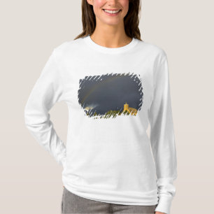 Historische St. Ignatius Mission in St. Ignatius, T-Shirt