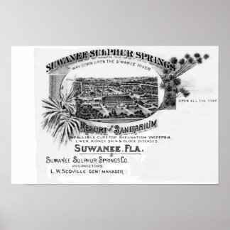 Historische Suwannevoringe, Florida suwannee, Poster