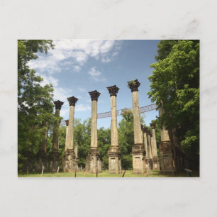 Historische Windsor Ruins Park Postcard Postkarte
