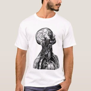 Historischer anatomischer Torso, der T - Shirt
