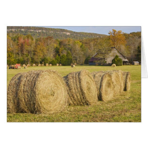 Historischer Bauernhof am Buffalo National River,