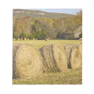 Historischer Bauernhof am Buffalo National River, Notizblock