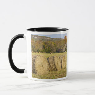 Historischer Bauernhof am Buffalo National River, Tasse