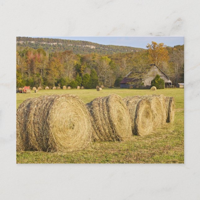 Historischer Bauernhof im Buffalo National River, Postkarte (Vorderseite)