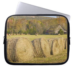 Historischer Bauernhof im Büffel-nationalen Fluss, Laptopschutzhülle