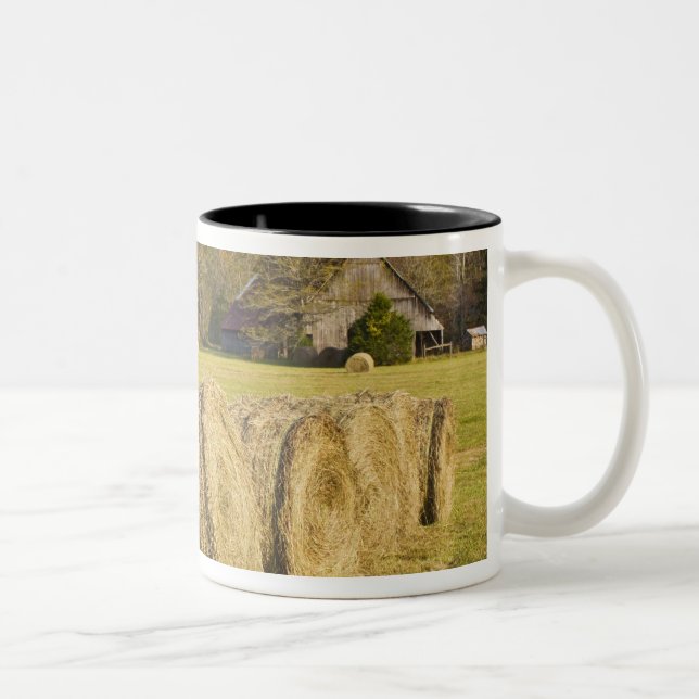 Historischer Bauernhof im Büffel-nationalen Fluss, Zweifarbige Tasse (Rechts)