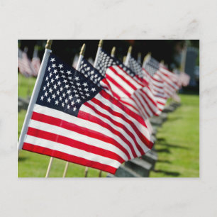 Historischer Militärfriedhof mit US-Flaggen Postkarte