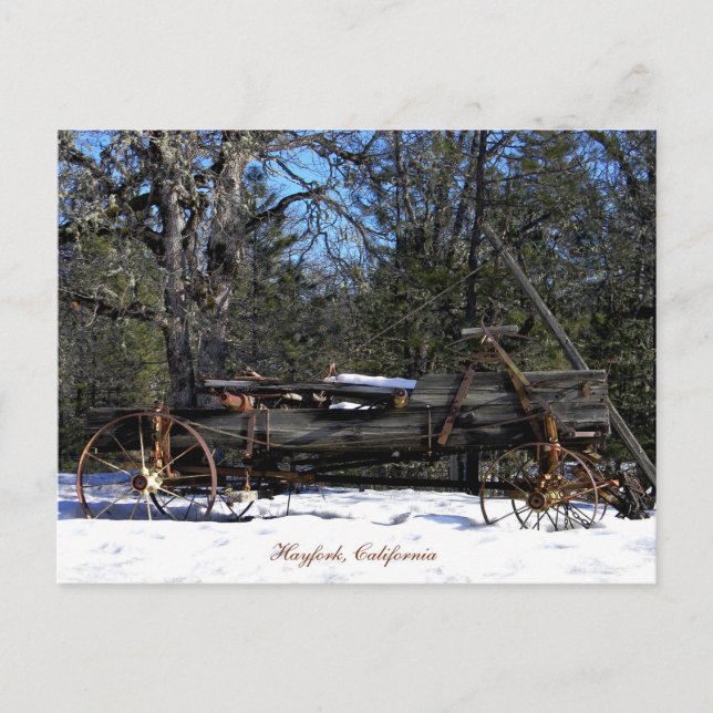 Historischer Sixer Frühlingswagen....... Postkarte (Vorderseite)