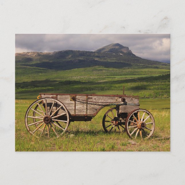 Historischer Wagen in einer Weide Links Postkarte (Vorderseite)