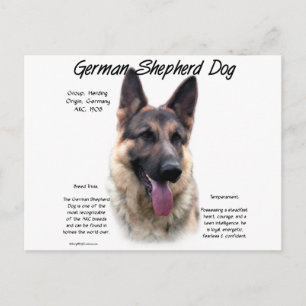 Historisches Design des deutschen Schäferhundes Postkarte
