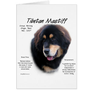 Historisches Design tibetischer Mastiff