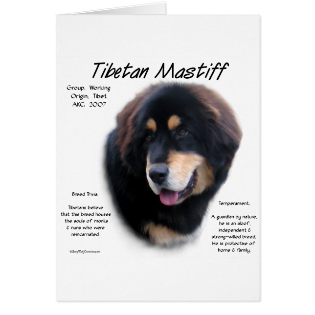 Historisches Design tibetischer Mastiff (Vorne)
