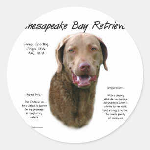 Historisches Design von Chesapeake Bay Retriever Runder Aufkleber