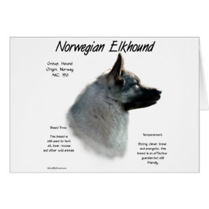 Historisches Design von Norwegisch-Elkhound