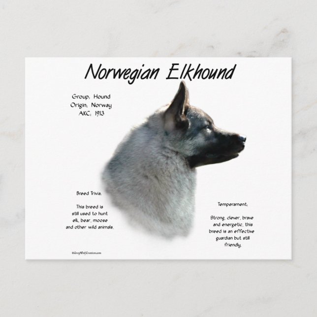 Historisches Design von Norwegisch-Elkhound Postkarte (Vorderseite)