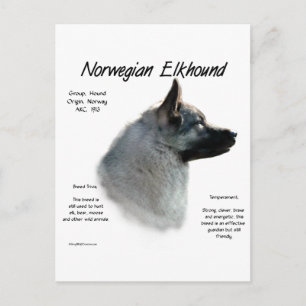 Historisches Design von Norwegisch-Elkhound Postkarte